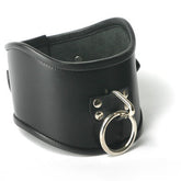 Strict Leather Locking Posture Collar