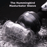 Hummingbird Masturbator Attachment