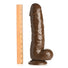 The Forearm 13 Inch Dildo with Suction Cup