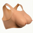 Perky Pair D-Cup Silicone Breasts
