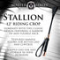 Stallion Riding Crop 12"