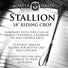 Stallion Riding Crop 18"