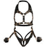 Harness With Restraints