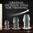 Dicked Clear Hollow Anal Plug 3pc Set