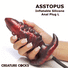 Asstopus Inflatable Silicone Anal Plug - Large