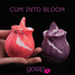 Gossip Pink Twirl 10X Silicone Licking Rose