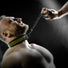 Fort Troff Tactical Velcro collar and chain leash bondage set, shop online