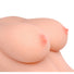 Transgender Terri Torso