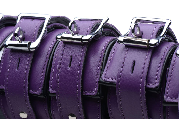 Purple 5 Piece Leather Bondage Set