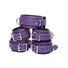 Purple 5 Piece Leather Bondage Set