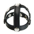 Snap-On Cock and Ball Harness