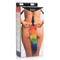 Rainbow Tail Anal Plug