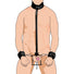 Penis Pillory