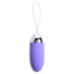Grape Gasm 36X Swirled Vibrating Remote Control Egg