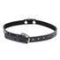 Collared Vixen Silver Ring Slim Choker