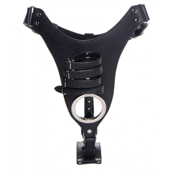Male Chastity Harness with Silicone Anal Plug XR Brands Male Chastity Harness with Silicone Anal Plug XR Brands