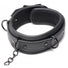 Collared Temptress Collar with Nipple Clamps
