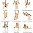 Trinity Sex Swing