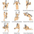 Trinity Sex Swing
