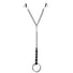 Nipple Clamps and Cock Ring Set